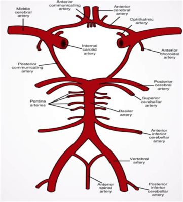   impairments-to-its-wings  獨角仙，一個擁有堅硬外殼且有著奇妙翅膀的奇特生物！